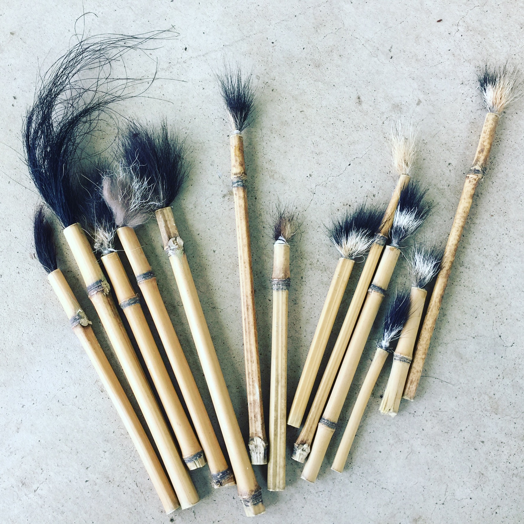 how-to-make-brushes-from-roadkill-fur-marian-williams-pottery